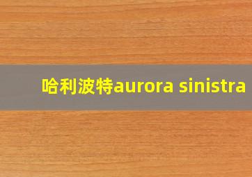 哈利波特aurora sinistra